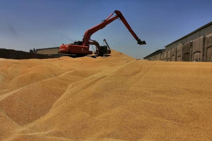 التجارة تباشر بتهيئة مستلزمات الحفاظ على سلامة خزين الحنطة