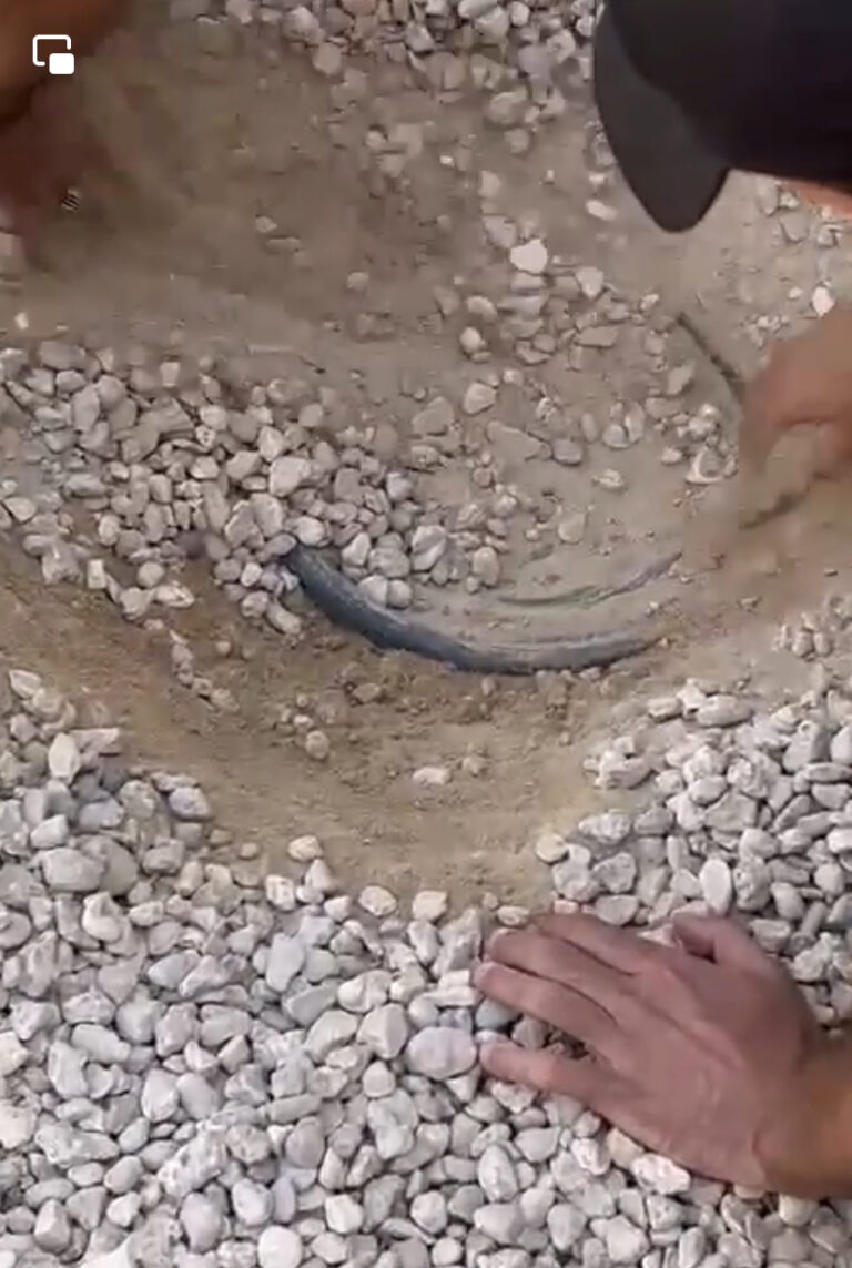 مخبأة تحت الأرض .. ضبط ألف حبة مخدرة نوع كبتاجون في الأنبار