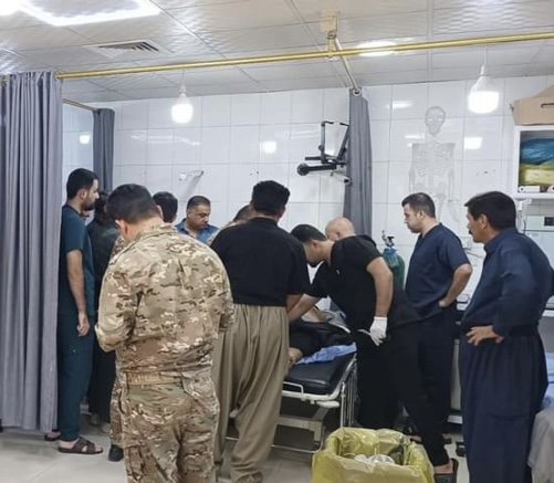 تفاصيل صادمة.. “النحل الأصفر” يقتل رجلا في بينجوين