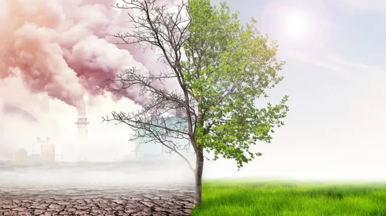 تغيرات مناخية وغذائية ستقلب حياة البشرية .. تعرف عليها