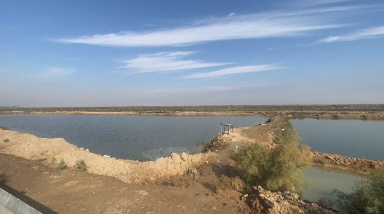 أزمة الجفاف .. شح المياه يخنق سكان الأهوار ويهجرهم مرة أخرى