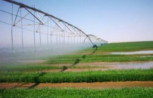 الزراعة تعلن عن مشاريع زراعية للشباب في عموم المحافظات