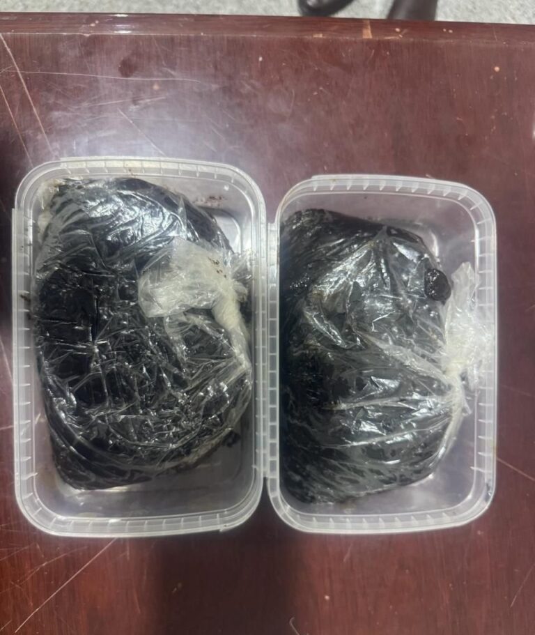 هيئة المنافذ تعلن ضبط مواد مخدرة لدى مسافر بمنفذ سفوان الحدودي