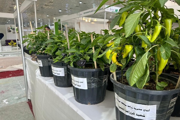 الزراعة تنهي استعداداتها لافتتاح الأسبوع الزراعي على أرض معرض بغداد الدولي