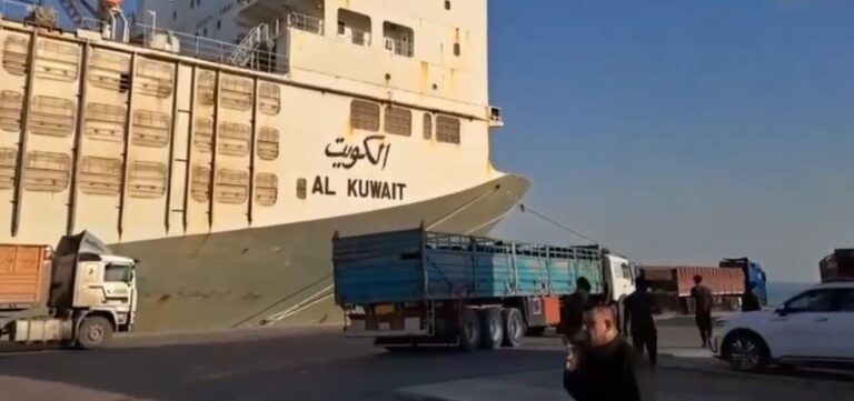 المباشرة بتوزيع مواشي باخرة الكويت المثيرة للجدل في 4 محافظات