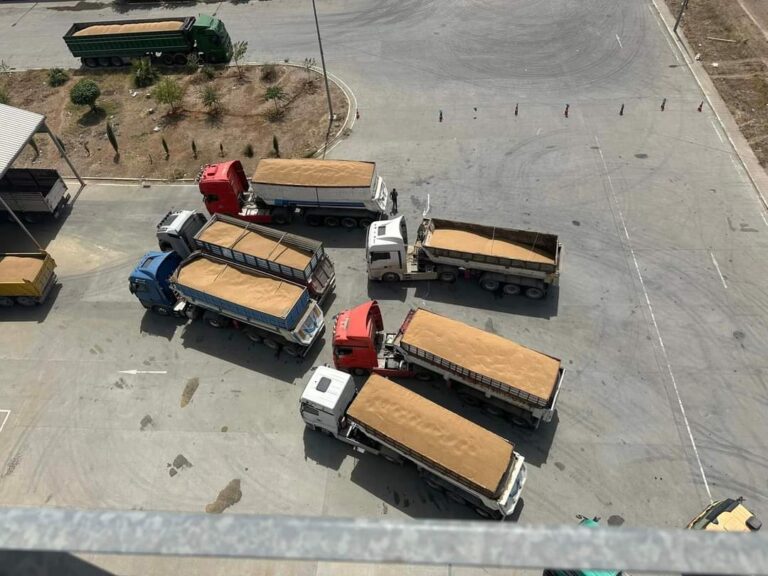 السليمانية تعلن انتهاء موسم تسويق الحنطة بـ 277 ألف طن