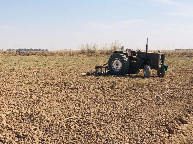الاتحادية تنظر في إلغاء قرارين صودرت بموجبهما إراض زراعية بكركوك