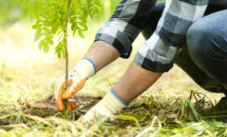تضامن شعبي مع دعوة السوداني.. أكتوبر موعد لدعم العاصمة باللون الأخضر