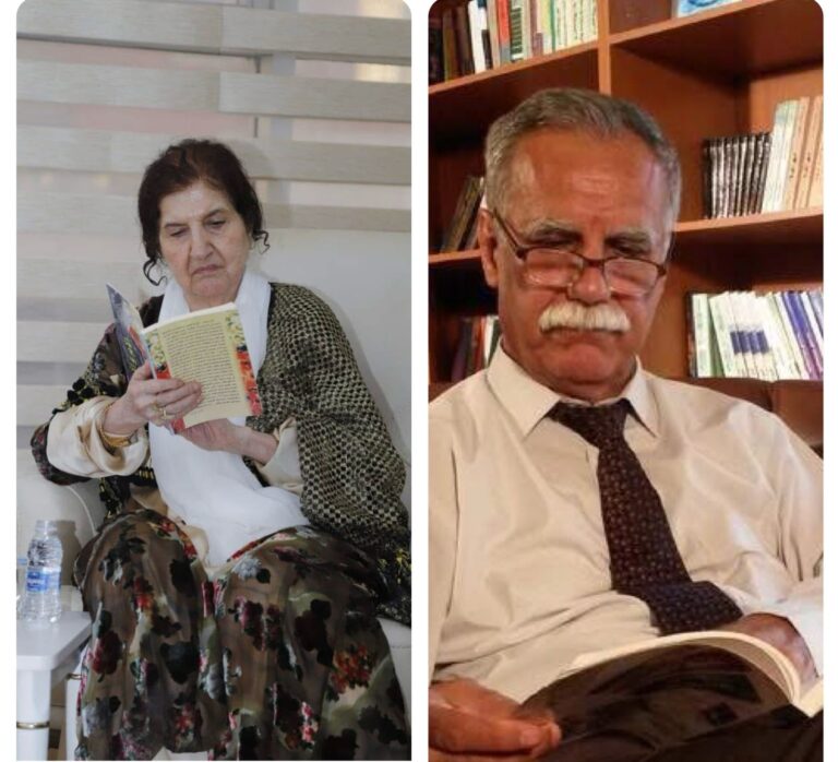 گەلاوێژ وتجريبية الرواية