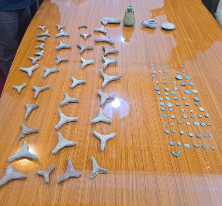 شرطة بابل تعلن اكتشاف 111 قطعة أثرية في مدينة بورسيبا الأثرية