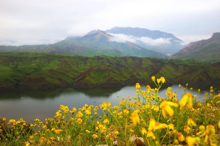 مياه الشرب في حلبجة مطابقة للمعايير الدولية