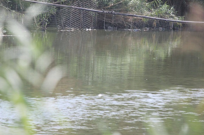 بيئة الديوانية تنفذ مسوحات ميدانية للتنوع الأحيائي