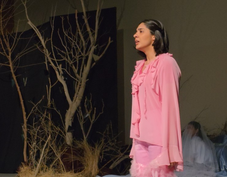 عرض مسرحية “التحولات” باللغتين الكوردية والعربية في رانية