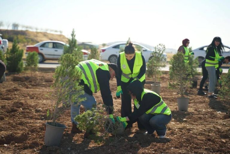 بلدية السليمانية تطلق حملة غرس 1000 شجرة لزيادة مساحات الخضراء