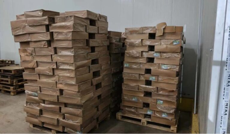 الآسايش تنفذ عملية نوعية لحماية الأمن الاقتصادي