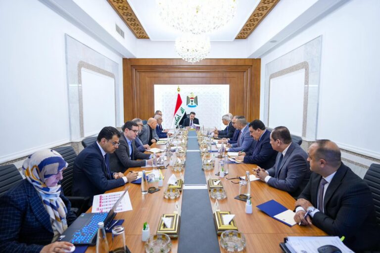 رئيس الوزراء يصدر توجيهات جديدة بشأن نصب المقاييس الذكية الخاصة بالطاقة الكهربائية