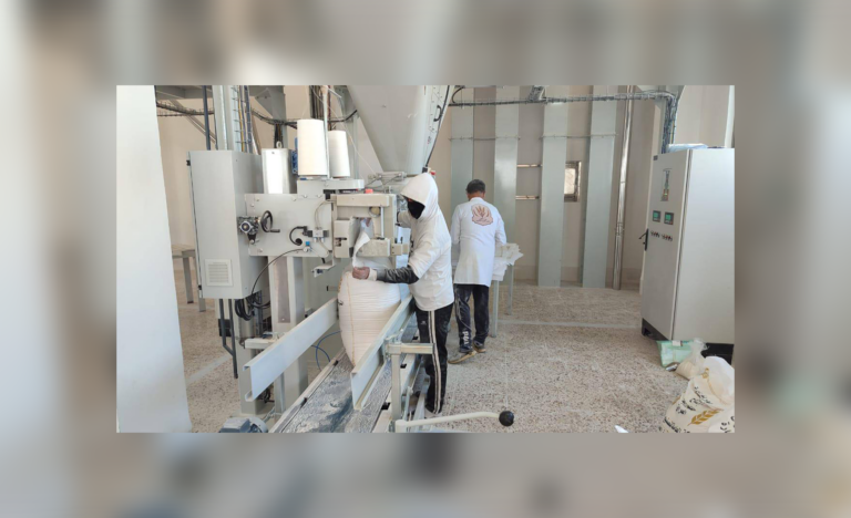 الطحين يتدفق.. 5 ملايين كيس توزع والرقابة مشددة