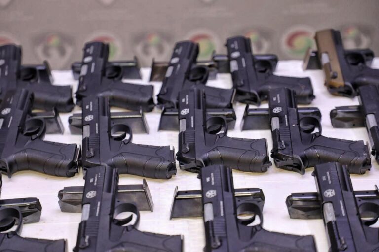 حلبجه.. ضبط 50 مسدسا في ناحية طويلة