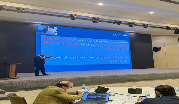 البيئة تصادق على التقرير الوطني السابع للتنوع البيولوجي