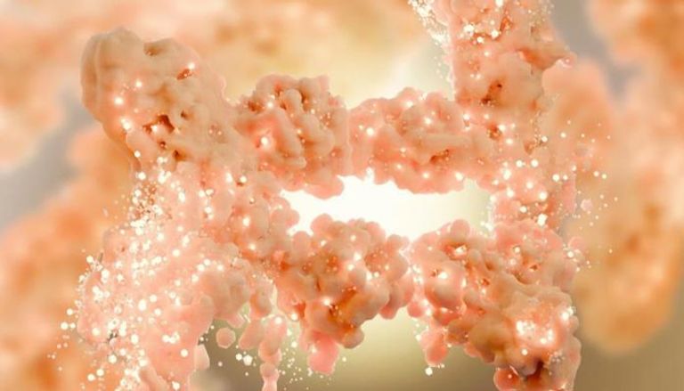 تنشيط الدهون البنية يمثل خطوة واعدة نحو مكافحة السمنة