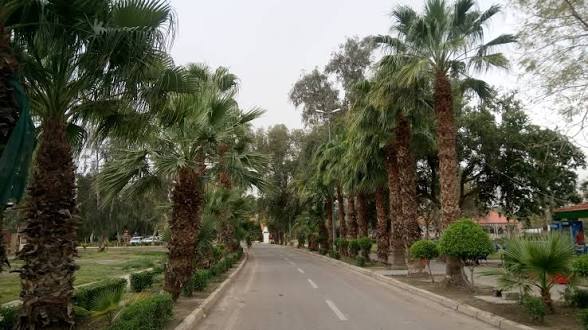 الصحة تنشر صورة الطفل الذي هاجمه نمر في الزوراء وتطمئن