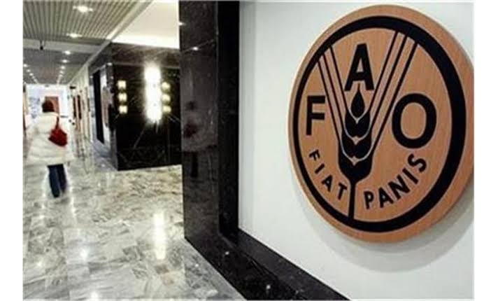 فاو تحذر بشدة: إغلاق هرمز تهديد لسلاسل الإمداد الغذائي